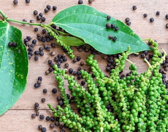 blackpepper1