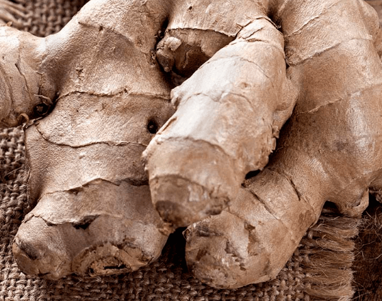 ginger2