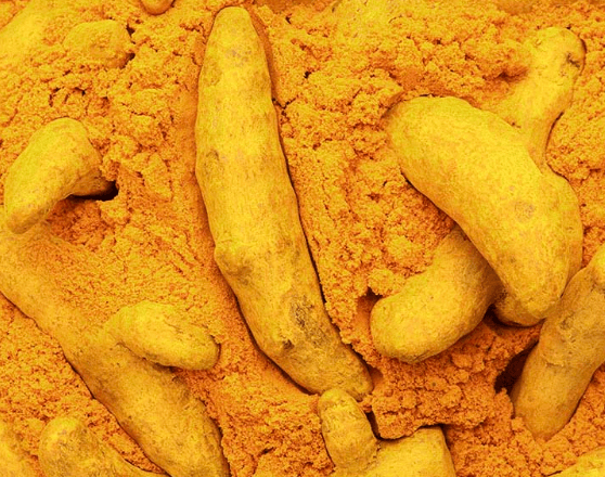 haldi4