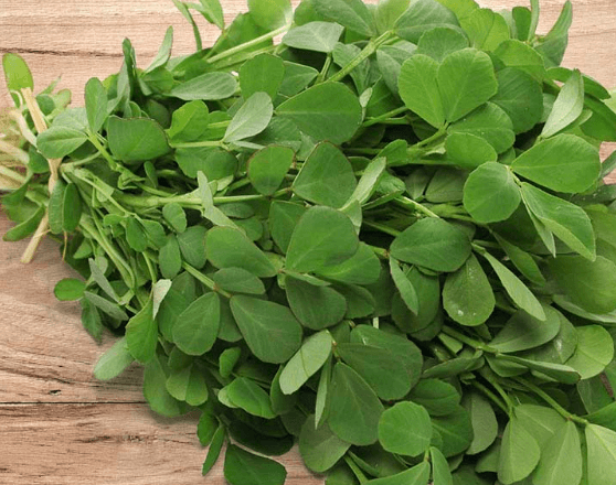 methi3