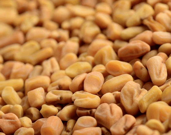 methi4